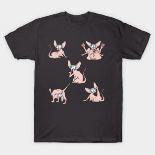 5 sphynx T-Shirt